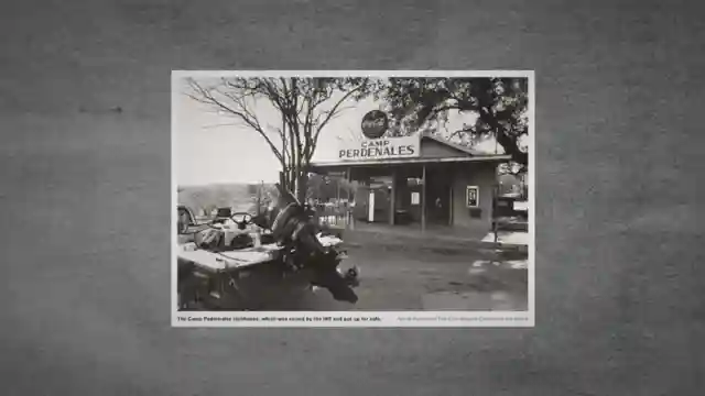 willie-nelsons-irs-debt-how-music-and-resilience-saved-his-legacy